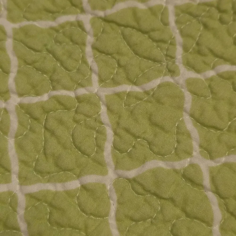 🇬🇪🔹️C&F Home Sage Reversible Vine & Lattice 48x60 Quilted Throw Blanket